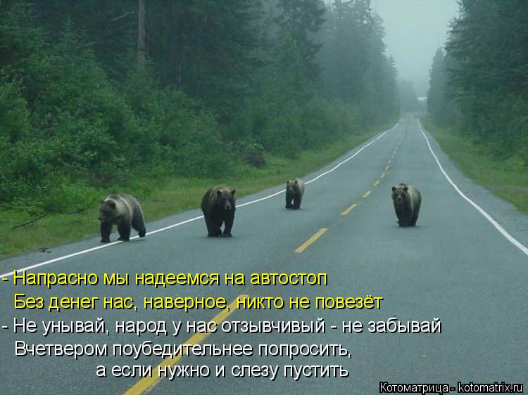 - Напрасно мы надеемся на автостоп Без денег нас, наверное, никто не повезёт - Не унывай, народ у ... Котоматрица: - Напрасно мы надеемся на автостоп Без денег нас, наверное, никто не повезёт - Не унывай, народ у нас отзывчивый - не забывай Вчетвером поуб