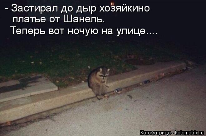 - Застирал до дыр хозяйкино платье от Шанель. Теперь вот ночую на улице....... Котоматрица: - Застирал до дыр хозяйкино платье от Шанель. Теперь вот ночую на улице....