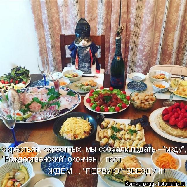 Котоматрица: с крестьян, окрестных, мы собрали подать - "мзду", "Рождественский" окончен... пост, ЖДЁМ.... "ПЕРВУЮ"  ЗВЕЗДУ !!!