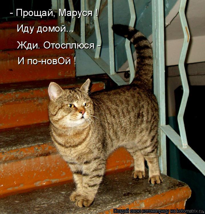 Котоматрица: - Прощай, Маруся ! Иду домой... Жди. Отосплюся - И по-новОй !