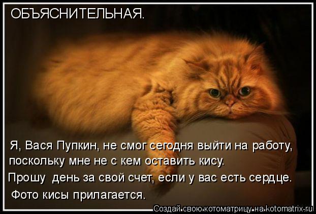 Котоматрица: ОБЪЯСНИТЕЛЬНАЯ. Я, Вася Пупкин, не смог сегодня выйти на работу,  поскольку мне не с кем оставить кису. Фото кисы прилагается. Прошу  день за с