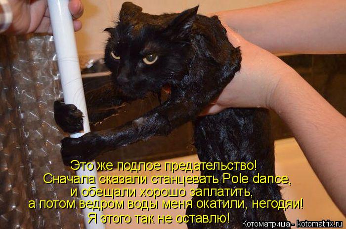 Котоматрица: Это же подлое предательство!  Сначала сказали станцевать Pole dance, и обещали хорошо заплатить,  а потом ведром воды меня окатили, негодяи! Я это