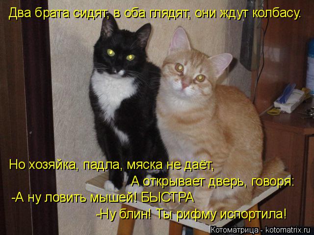У нас завтра свадьба придешь У нас завтра свадьба придешь