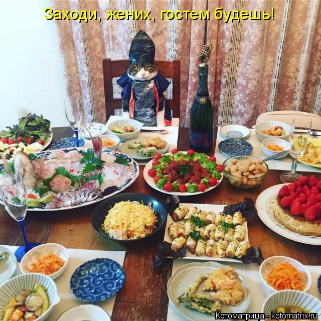 Котоматрица: Заходи, жених, гостем будешь!