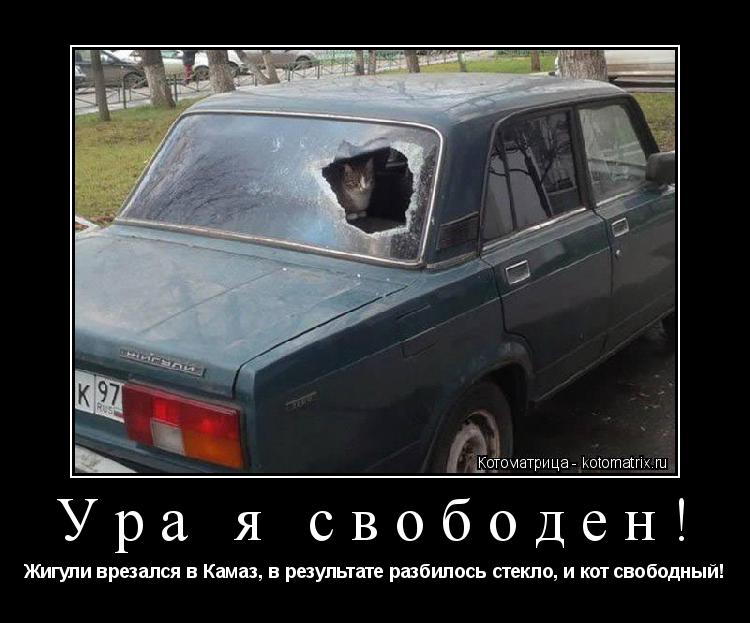 Ура я свободен! Жигули врезался в Камаз, в результате разбилось стекло, и кот свободный!... Котоматрица: Ура я свободен! Жигули врезался в Камаз, в результате разбилось стекло, и кот свободный!