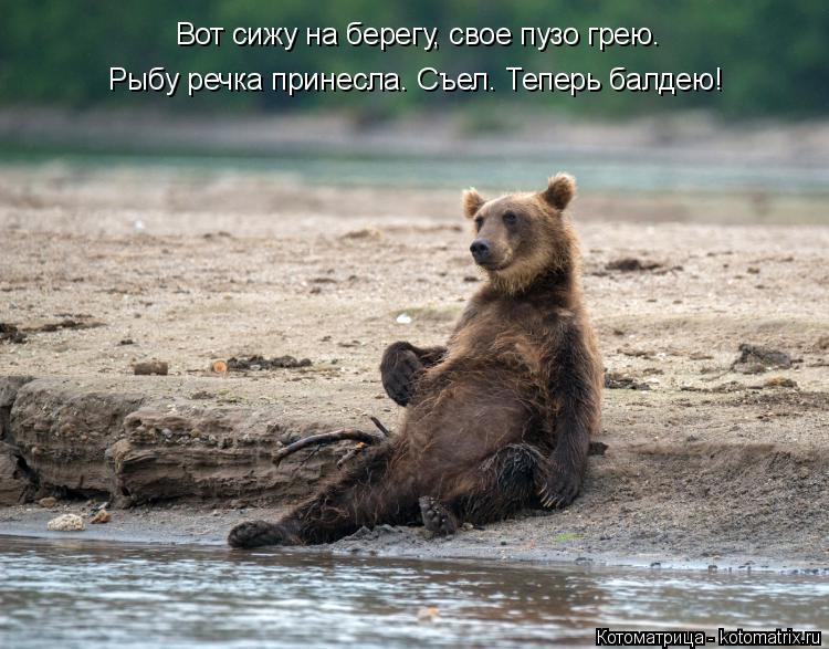 Вот сижу на берегу, свое пузо грею. Рыбу речка принесла. Съел. Теперь балдею!... Котоматрица: Вот сижу на берегу, свое пузо грею. Рыбу речка принесла. Съел. Теперь балдею!