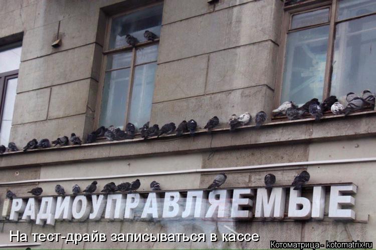 На тест-драйв записываться в кассе... Котоматрица: На тест-драйв записываться в кассе
