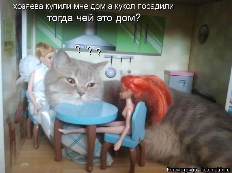 хозяева купили мне дом а кукол посадили тогда чей это дом? ? ? ?... Котоматрица: хозяева купили мне дом а кукол посадили тогда чей это дом? ? ? ?