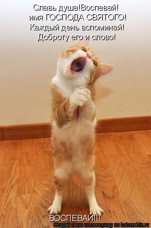 Славь душа!Воспевай! имя ГОСПОДА СВЯТОГО! Каждый день вспоминай! Доброту его и слово! ВОСПЕВАЙ!!!... Котоматрица: Славь душа!Воспевай! имя ГОСПОДА СВЯТОГО! Каждый день вспоминай! Доброту его и слово! ВОСПЕВАЙ!!!