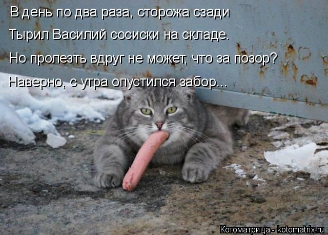 В день по два раза, сторожа сзади Тырил Василий сосиски на складе. Но пролезть вдруг не может, что за... Котоматрица: В день по два раза, сторожа сзади Тырил Василий сосиски на складе. Но пролезть вдруг не может, что за позор? Наверно, с утра опустился забор...