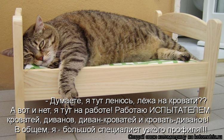 А вот и нет, я тут на работе! Работаю ИСПЫТАТЕЛЕМ кроватей, диванов, диван-кроватей и кровать-диванов... Котоматрица: А вот и нет, я тут на работе! Работаю ИСПЫТАТЕЛЕМ кроватей, диванов, диван-кроватей и кровать-диванов! - Думаете, я тут ленюсь, лёжа на кровати?
