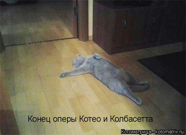 Котоматрица: Конец оперы Котео и Колбасетта