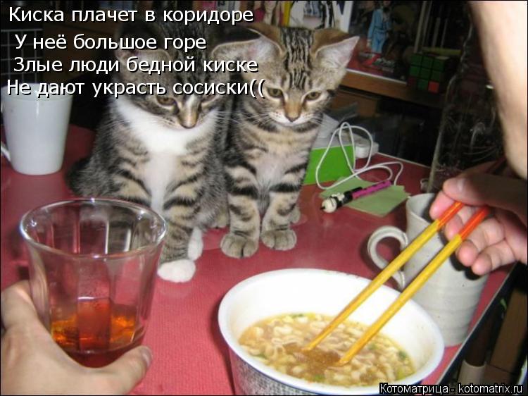 Киска плачет в коридоре У неё большое горе Злые люди бедной киске Не дают украсть сосиски((... Котоматрица: Киска плачет в коридоре У неё большое горе Злые люди бедной киске Не дают украсть сосиски((