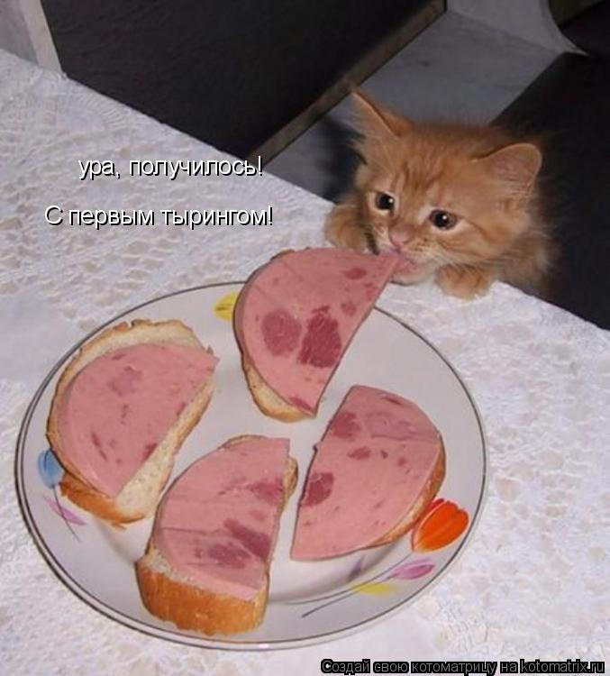 Котоматрица: ура, получилось! С первым тырингом!