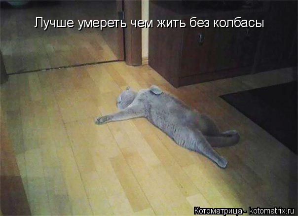 Котоматрица: Лучше умереть чем жить без колбасы