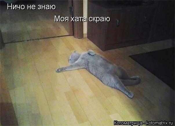 Котоматрица: Ничо не знаю  Ничо не знаю  Моя хата скраю