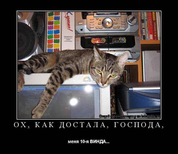 ОХ, КАК ДОСТАЛА, ГОСПОДА, меня 10-я ВИНДА...... Котоматрица: ОХ, КАК ДОСТАЛА, ГОСПОДА, меня 10-я ВИНДА...