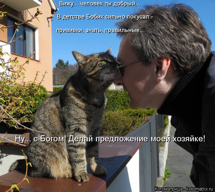 Котоматрица: Ну... с Богом! Делай предложение моей хозяйке! Вижу... человек ты добрый... В детстве Бобик сильно покусал - прививки, знать, правильные...