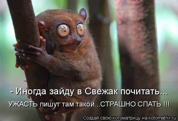 - Иногда зайду в Свежак почитать... УЖАСТЬ пишут там такой...СТРАШНО СПАТЬ !!!... Котоматрица: - Иногда зайду в Свежак почитать... УЖАСТЬ пишут там такой...СТРАШНО СПАТЬ !!!