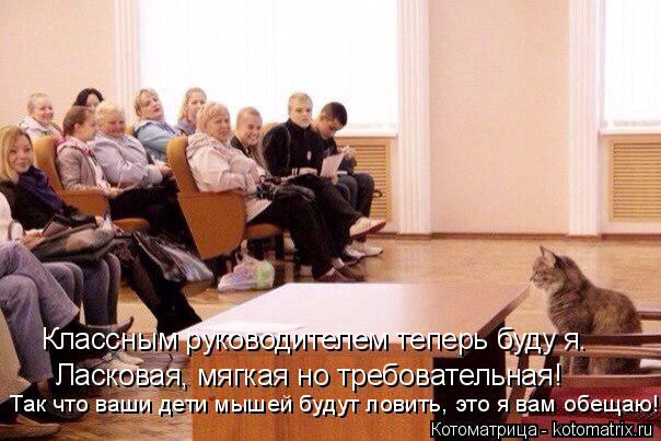 Котоматрица: Классным руководителем теперь буду я. Ласковая, мягкая но требовательная! Так что ваши дети мышей будут ловить, это я вам обещаю!