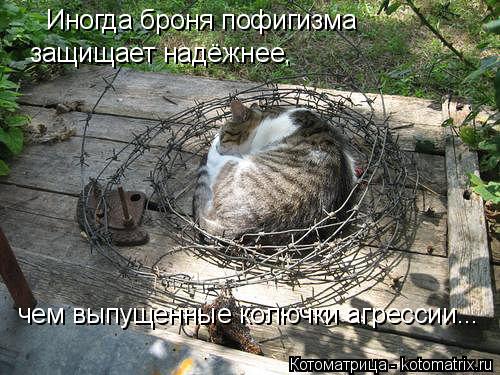 Котоматрица: Иногда броня пофигизма защищает надёжнее, чем выпущенные колючки агрессии...
