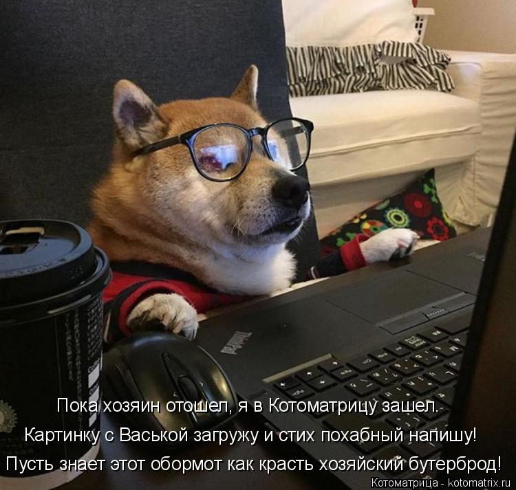 Картинку с Васькой загружу и стих похабный напишу! Пусть знает этот обормот как красть хозяйский буте... Котоматрица: Картинку с Васькой загружу и стих похабный напишу! Пусть знает этот обормот как красть хозяйский бутерброд! Пока хозяин отошел, я в Котомат