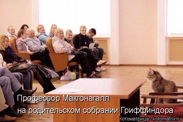 Профессор Макгонагалл на родительском собрании Гриффиндора... Котоматрица: Профессор Макгонагалл на родительском собрании Гриффиндора