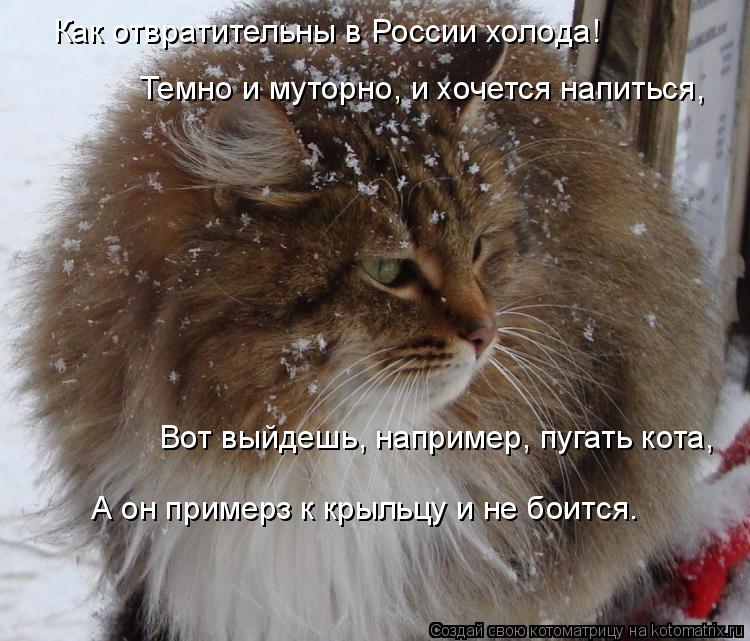 А он примерз к крыльцу и не боится. Как отвратительны в России холода! Темно и муторно, и хочется нап... Котоматрица: А он примерз к крыльцу и не боится. Как отвратительны в России холода! Темно и муторно, и хочется напиться, Вот выйдешь, например, пугать кот