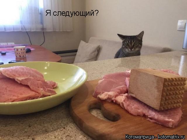 Я следующий?... Котоматрица: Я следующий?