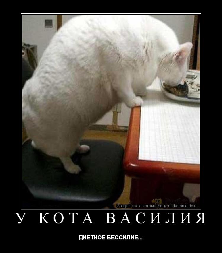 У КОТА ВАСИЛИЯ ДИЕТНОЕ БЕССИЛИЕ...... Котоматрица: У КОТА ВАСИЛИЯ ДИЕТНОЕ БЕССИЛИЕ...