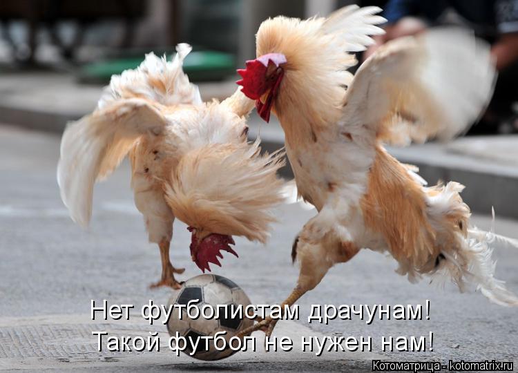 Такой футбол не нужен нам! Нет футболистам драчунам!... Котоматрица: Такой футбол не нужен нам! Нет футболистам драчунам!