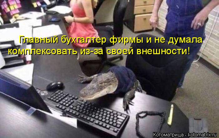 Главный бухгалтер фирмы и не думала комплексовать из-за своей внешности!... Котоматрица: Главный бухгалтер фирмы и не думала комплексовать из-за своей внешности!