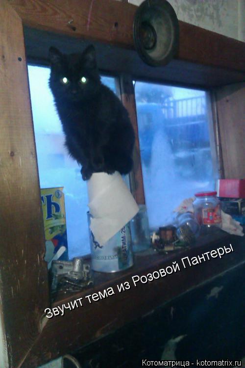 Звучит тема из Розовой Пантеры... Котоматрица: Звучит тема из Розовой Пантеры