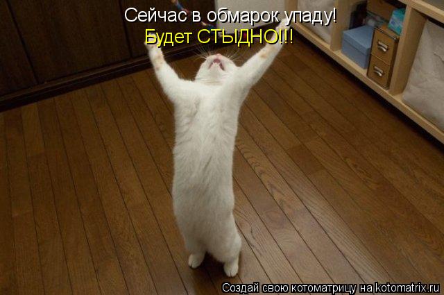 Сейчас в обмарок упаду! Будет СТЫДНО!!!... Котоматрица: Сейчас в обмарок упаду! Будет СТЫДНО!!!