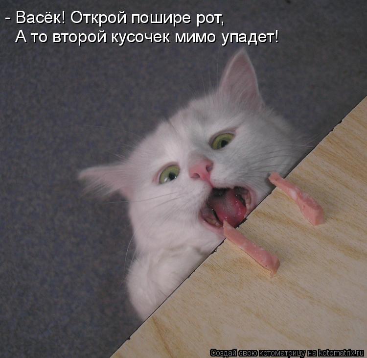 - Васёк! Открой пошире рот, А то второй кусочек мимо упадет!... Котоматрица: - Васёк! Открой пошире рот, А то второй кусочек мимо упадет!