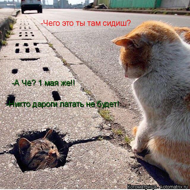-Чего это ты там сидиш? -А Чё? 1 мая же!! -Никто дароги латать не будет!... Котоматрица: -Чего это ты там сидиш? -А Чё? 1 мая же!! -Никто дароги латать не будет!
