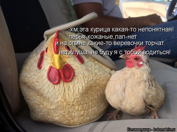 перья-кожаные,лап-нет и на спине какие-то веревочки торчат. -хм,эта курица какая-то непонятная! нет,... Котоматрица: перья-кожаные,лап-нет и на спине какие-то веревочки торчат. -хм,эта курица какая-то непонятная! нет,клуша, не буду я с тобой водиться!