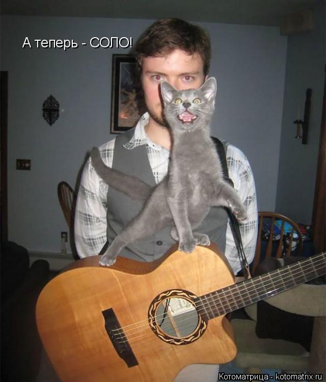 А теперь - СОЛО!... Котоматрица: А теперь - СОЛО!