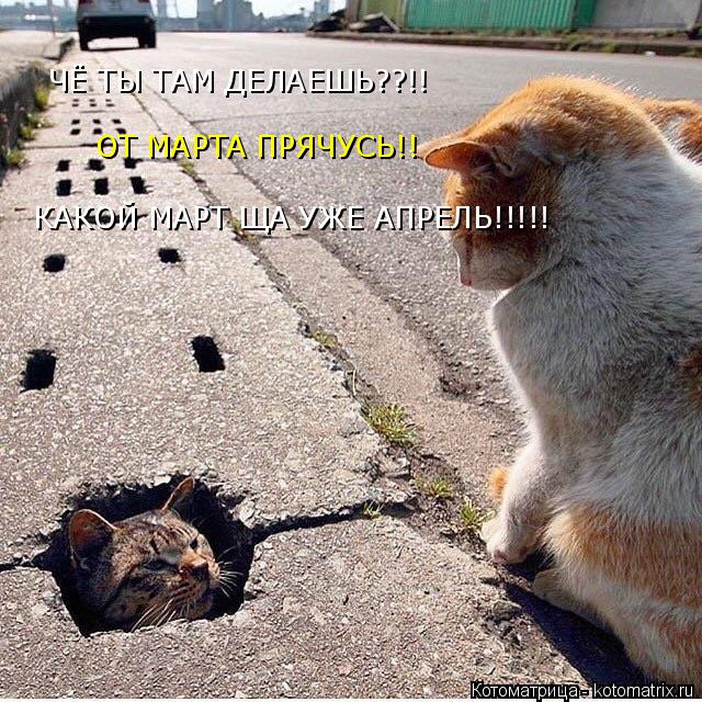 ЧЁ ТЫ ТАМ ДЕЛАЕШЬ??!! ОТ МАРТА ПРЯЧУСЬ!! КАКОЙ МАРТ ЩА УЖЕ АПРЕЛЬ!!!!!... Котоматрица: ЧЁ ТЫ ТАМ ДЕЛАЕШЬ??!! ОТ МАРТА ПРЯЧУСЬ!! КАКОЙ МАРТ ЩА УЖЕ АПРЕЛЬ!!!!!