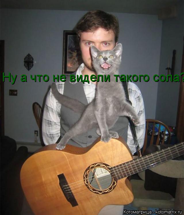 Ну а что не видели такого сола?... Котоматрица: Ну а что не видели такого сола?