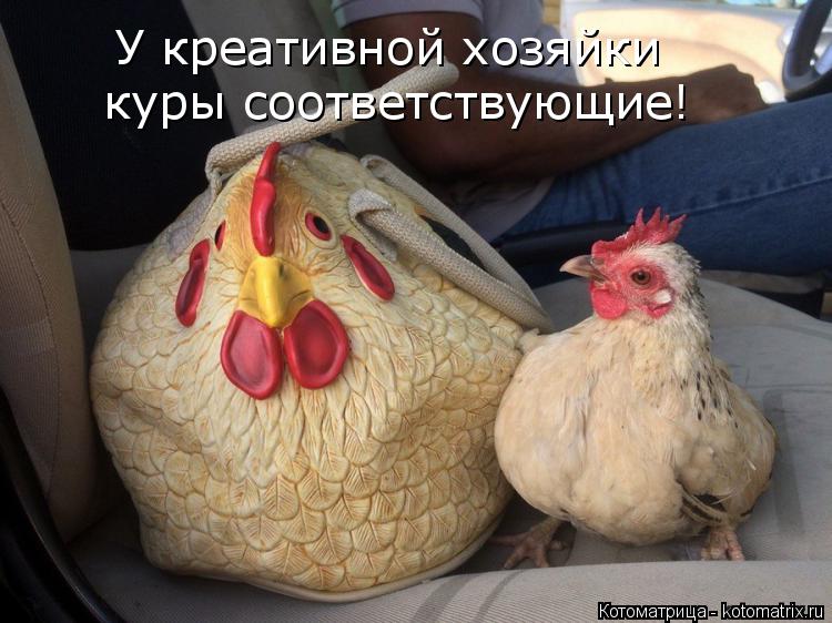 У креативной хозяйки куры соответствующие!... Котоматрица: У креативной хозяйки куры соответствующие!