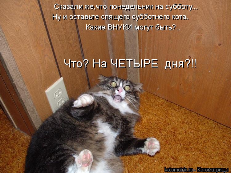 Что? На ЧЕТЫРЕ дня?!! Ну и оставьте спящего субботнего кота. Какие ВНУКИ могут быть?.. Сказали же,чт... Котоматрица: Что? На ЧЕТЫРЕ дня?!! Ну и оставьте спящего субботнего кота. Какие ВНУКИ могут быть?.. Сказали же,что понедельник на субботу...