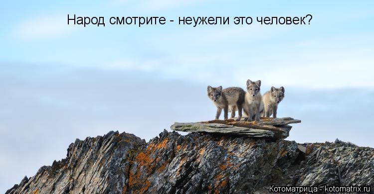 Народ смотрите - неужели это человек?... Котоматрица: Народ смотрите - неужели это человек?