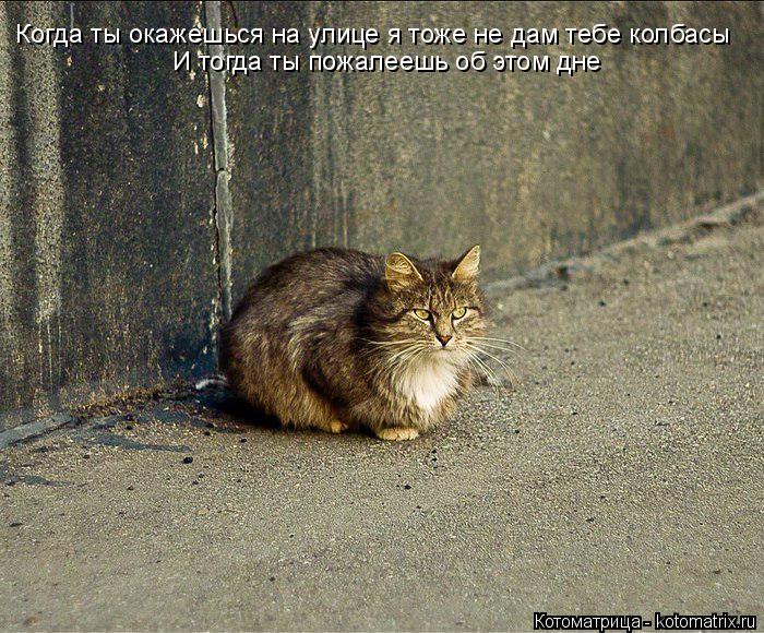 Когда ты окажешься на улице я тоже не дам тебе колбасы И тогда ты пожалеешь об этом дне... Котоматрица: Когда ты окажешься на улице я тоже не дам тебе колбасы И тогда ты пожалеешь об этом дне
