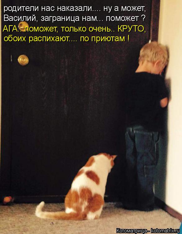 родители нас наказали.... ну а может, Василий, заграница нам... поможет ? АГА.. поможет, только очень... Котоматрица: родители нас наказали.... ну а может, Василий, заграница нам... поможет ? АГА.. поможет, только очень.. КРУТО, обоих распихают.... по приютам !