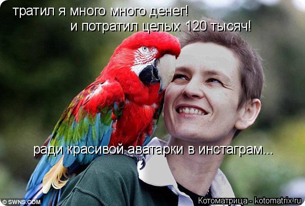 тратил я много много денег! и потратил целых 120 тысяч! ради красивой аватарки в инстаграм...... Котоматрица: тратил я много много денег! и потратил целых 120 тысяч! ради красивой аватарки в инстаграм...