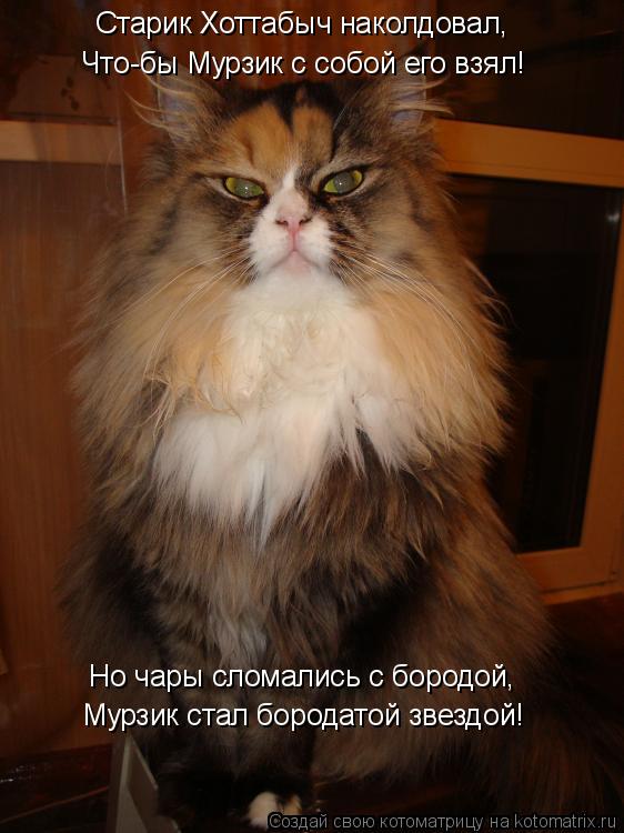 Старик Хоттабыч наколдовал, Что-бы Мурзик с собой его взял! Но чары сломались с бородой, Мурзик стал ... Котоматрица: Старик Хоттабыч наколдовал, Что-бы Мурзик с собой его взял! Но чары сломались с бородой, Мурзик стал бородатой звездой!