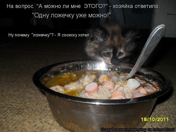 Ну почему "ложечку"? - Я сосиску хотел... На вопрос "А можно ли мне ЭТОГО?" - хозяйка ответила: "О... Котоматрица: Ну почему "ложечку"? - Я сосиску хотел... На вопрос "А можно ли мне ЭТОГО?" - хозяйка ответила: "Одну ложечку уже можно!"