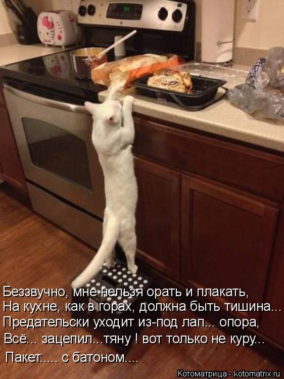 Беззвучно, мне нельзя орать и плакать, На кухне, как в горах, должна быть тишина... Предательски уход... Котоматрица: Беззвучно, мне нельзя орать и плакать, На кухне, как в горах, должна быть тишина... Предательски уходит из-под лап... опора, Всё... зацепил...тяну