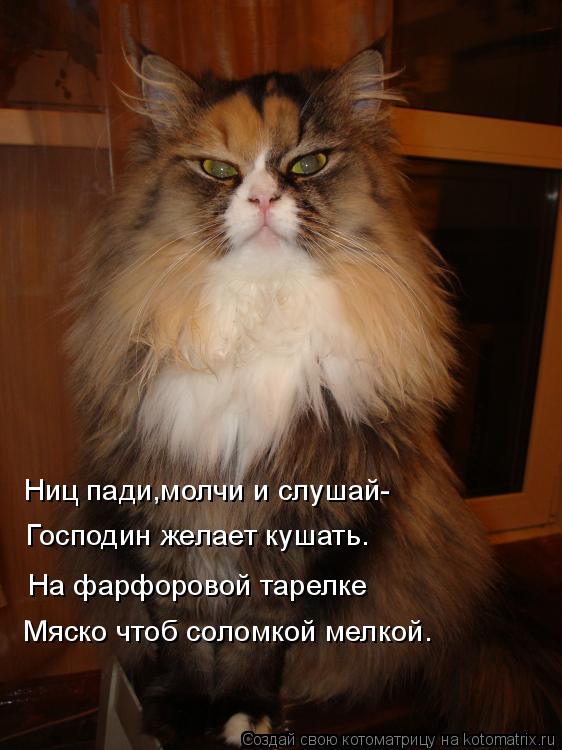 Ниц пади,молчи и слушай- Господин желает кушать. На фарфоровой тарелке Мяско чтоб соломкой мелкой.... Котоматрица: Ниц пади,молчи и слушай- Господин желает кушать. На фарфоровой тарелке Мяско чтоб соломкой мелкой.